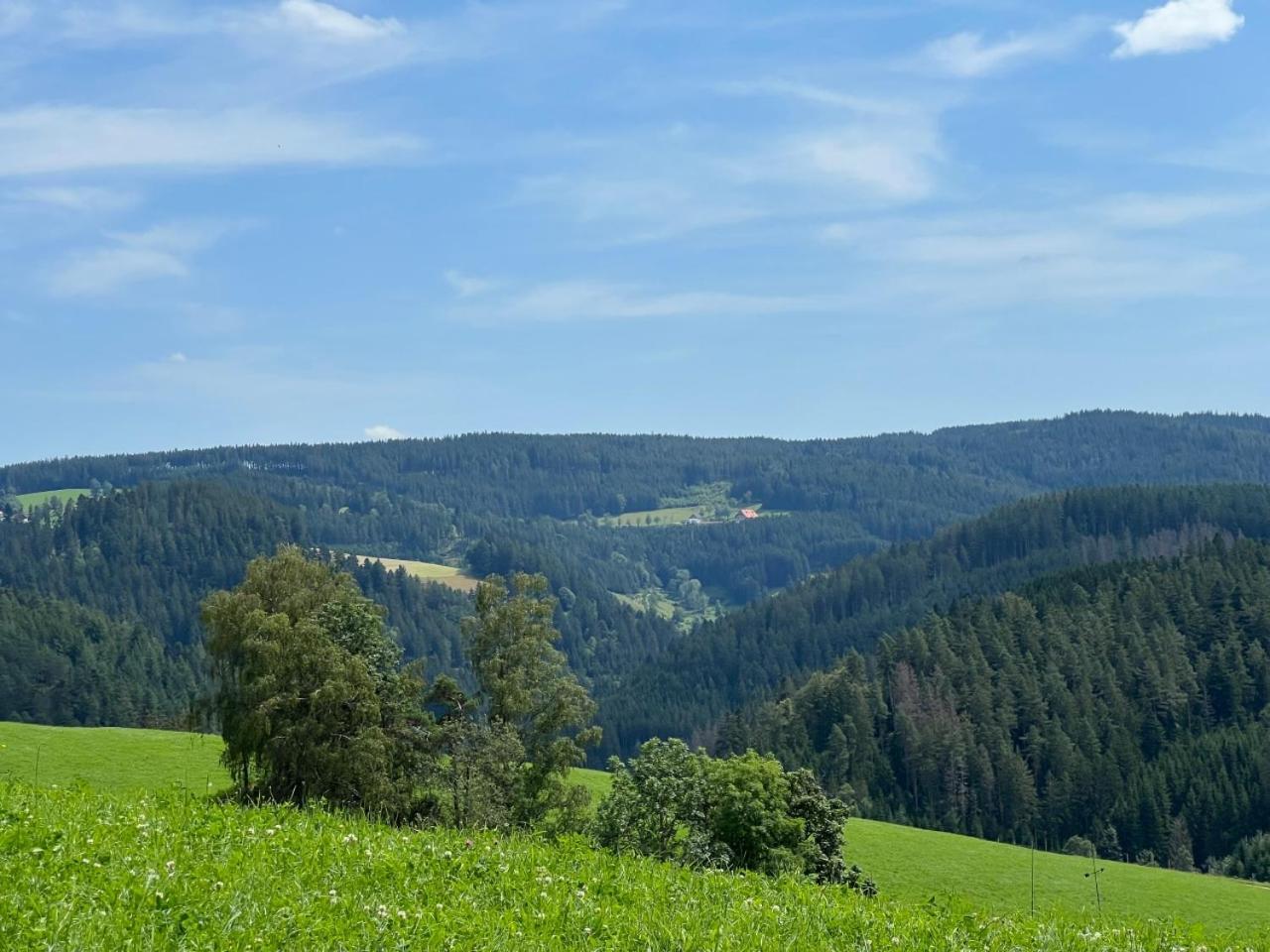 Landhaus Valentin Apartment Triberg im Schwarzwald Exterior photo