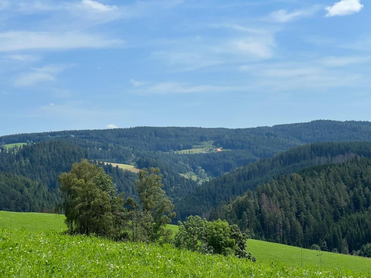 Landhaus Valentin Triberg im Schwarzwald Exterior photo
