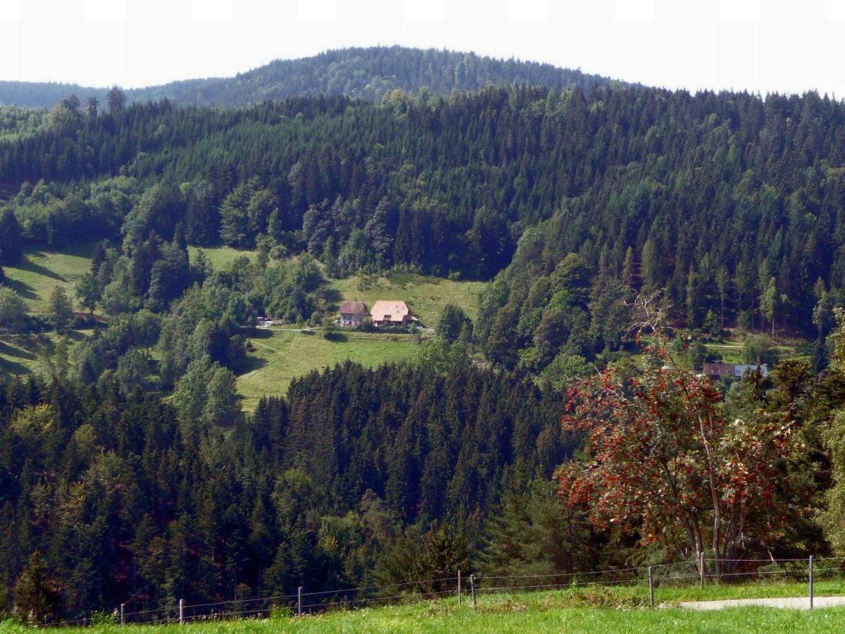 Landhaus Valentin Apartment Triberg im Schwarzwald Exterior photo