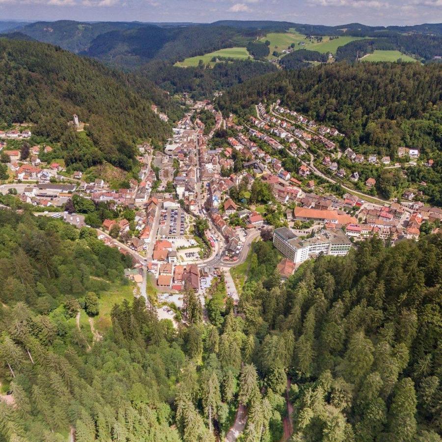 Landhaus Valentin Apartment Triberg im Schwarzwald Exterior photo