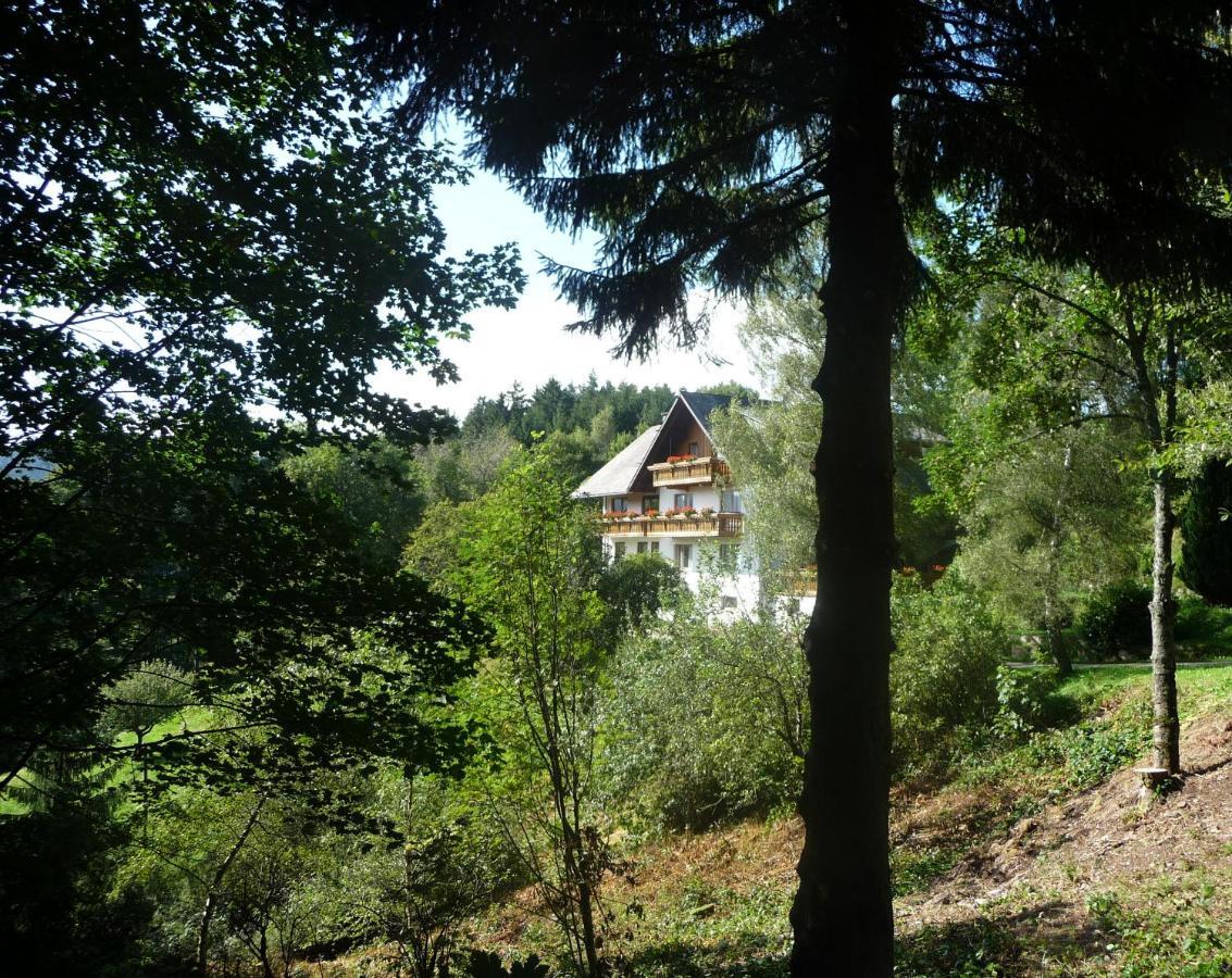 Landhaus Valentin Apartment Triberg im Schwarzwald Exterior photo